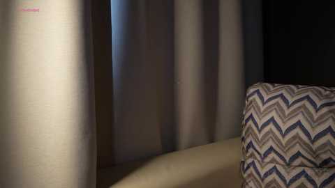 passionatepainter free recording from 2025-03-03 11:12:00