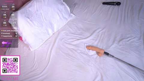 islandladies free recording from 