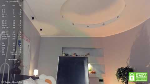 margarethowell free recording from 2025-03-04 13:11:00