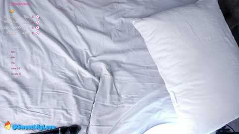 olsenspring free recording from 2025-03-04 13:58:00