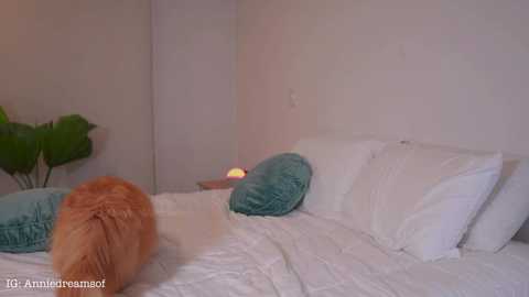 annie_dreams free recording from 2025-03-05 00:33:00