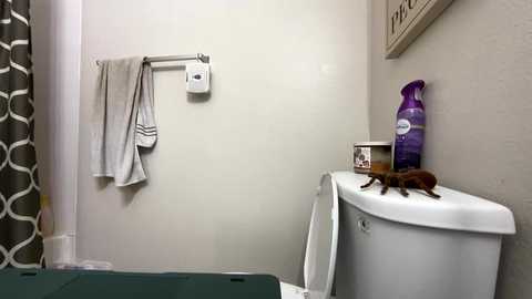 mxdxm free recording from 2025-03-05 15:31:00