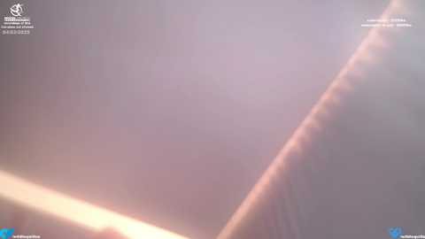 wildtequilla free recording from 2025-03-05 01:44:00