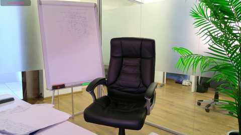 babesgowild free recording from 2025-03-06 08:37:00