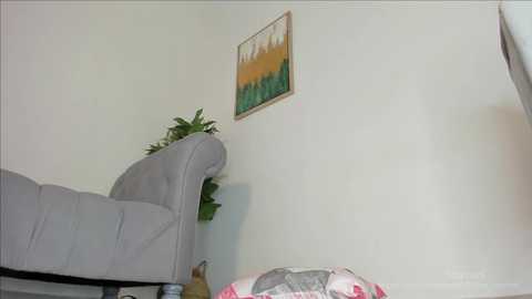 joss_caprice free recording from 