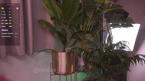 nicdani_1 free recording from 2025-03-07 08:19:00