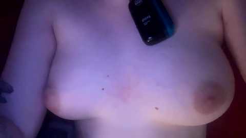 6699eucalyptus free recording from 