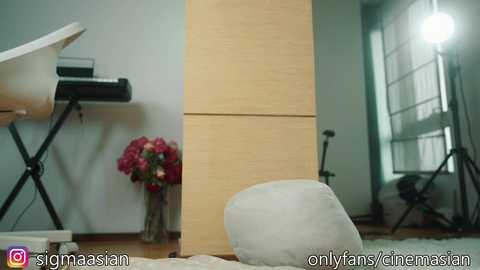 sigmasian free recording from 2025-03-09 09:40:00