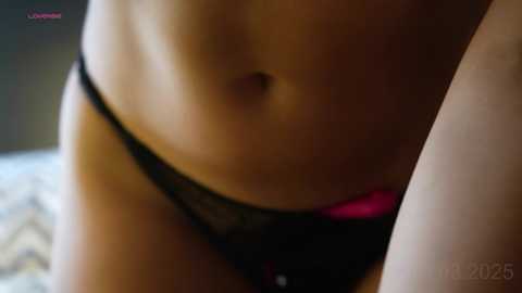 passionatepainter free recording from 2025-03-10 09:40:00