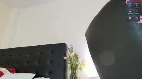 amabella_w free recording from 2025-03-11 02:03:00