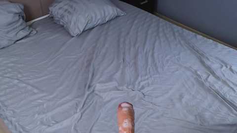 christine_rogers free recording from 2025-03-11 13:39:00