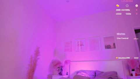 lil_stephanie free recording from 2025-03-11 11:20:00