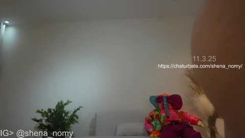 shena_nomy free recording from 2025-03-11 14:14:00