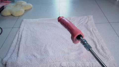 mayabaee1 free recording from 2025-03-13 04:38:00