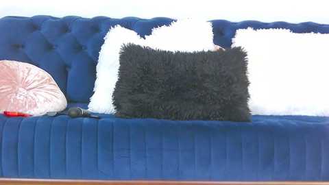 ashleeycherrie free recording from 2025-03-15 13:54:00