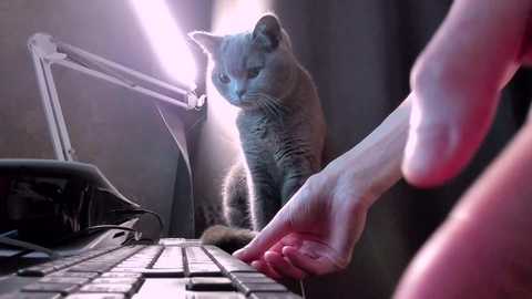 courtney_luv free recording from 