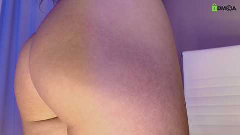 hollyextra free recording from 