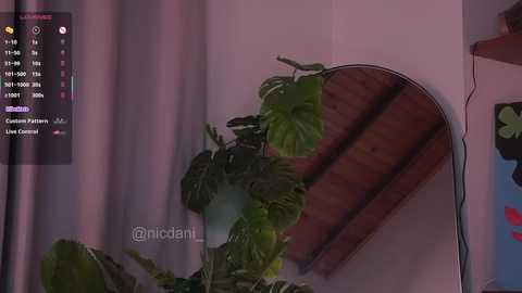 nicdani_1 free recording from 2025-03-15 08:57:00