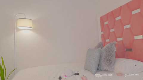 nicolle_mitchelle free recording from 2025-03-15 16:35:00