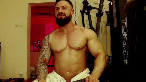 adonis_msc free recording from 2025-03-18 03:54:00