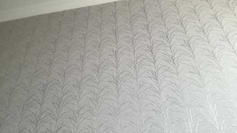 wonderland_stia free recording from 2025-03-18 12:44:00