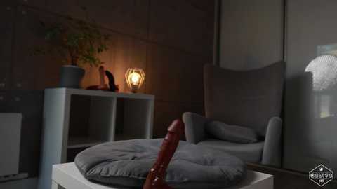 delitevip free recording from 2025-03-19 15:56:00