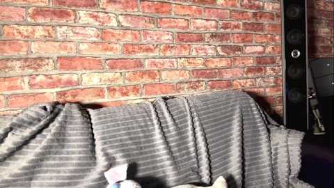 june_moves free recording from 2025-03-19 14:01:00