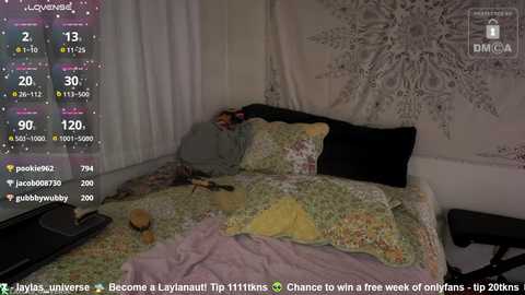 laylas_universe free recording from 2025-03-19 06:42:00