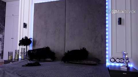 miladenver free recording from 2025-03-19 11:20:00