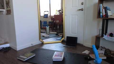 nakedpaint245477 free recording from 