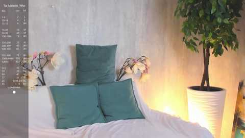 shy_starlight free recording from 2025-03-19 17:30:00