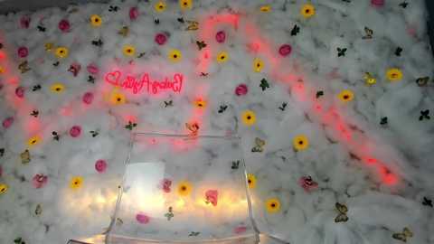 babyaylin free recording from 2025-03-20 08:17:00