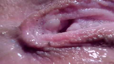 courtney_luv free recording from 