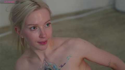 my_stella free recording from 2025-03-20 20:51:00