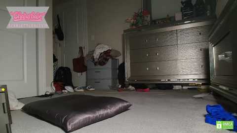 scarlettgracevip free recording from 2025-03-21 05:42:00