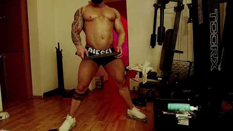 adonis_msc free recording from 2025-03-22 03:27:00