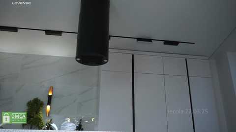 hecola free recording from 2025-03-22 14:53:00