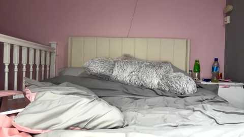 itsmelolax free recording from 2025-03-22 17:04:00