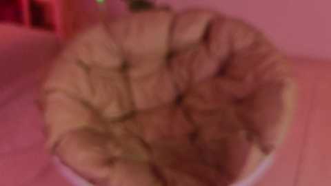 uwunikaa free recording from 2025-03-22 22:18:00