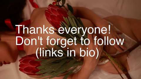 _protea free recording from 2025-03-23 04:17:00