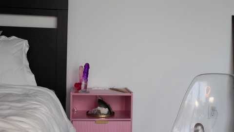 graciemonroe free recording from 