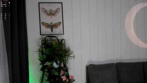 little_anitta free recording from 2025-03-23 00:59:00