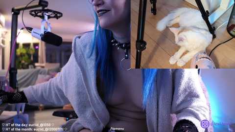 misshowl free recording from 2025-03-23 09:20:00