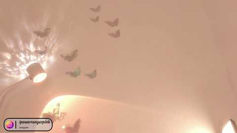 power_ranger_pink free recording from 2025-03-23 12:32:00