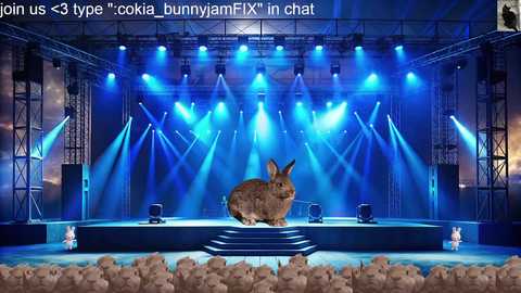 cokia_ free recording from 