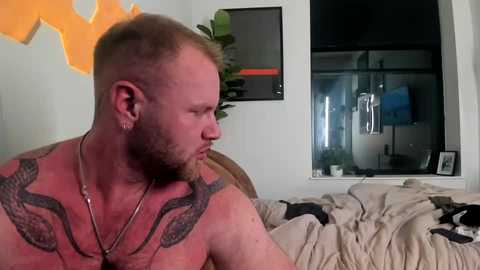 cub_guns95 free recording from 