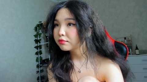 wastforu free recording from 2025-03-26 15:07:00