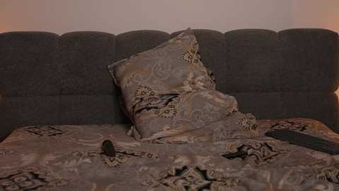 _ayya free recording from 2025-03-27 09:00:00