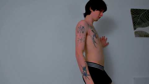 ladytrep free recording from 