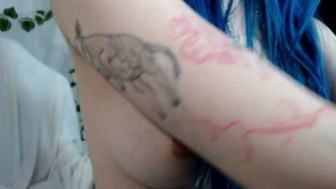 le_chan free recording from 